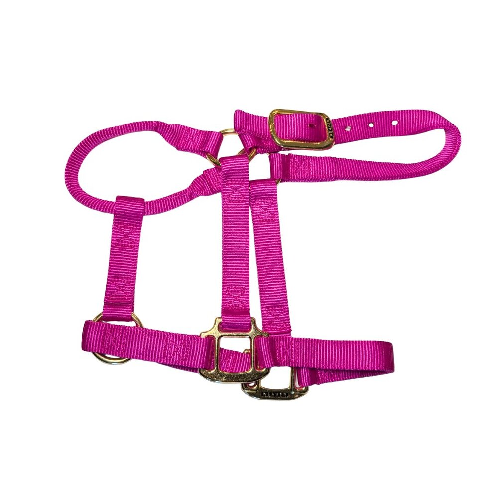 Weaver Leather Horse Halter Raspberry Pink 1" Nylon Yearling NWOT 300-500 lbs